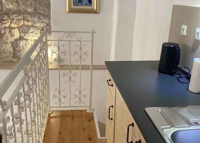 Studio Apartment Vicelic