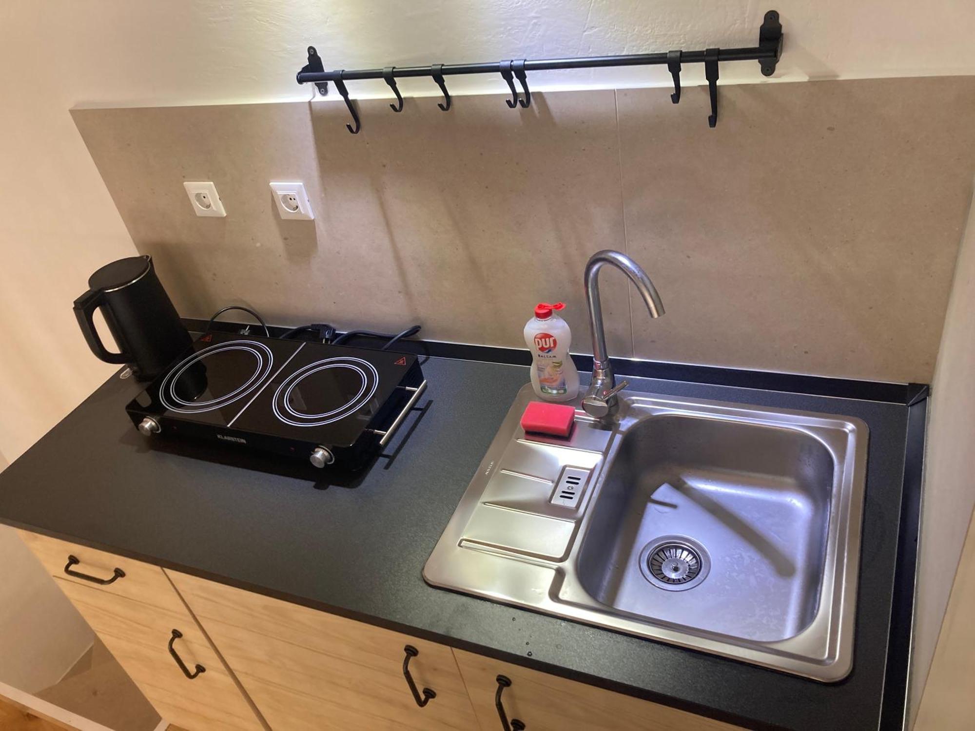 Apartament Vicelic *