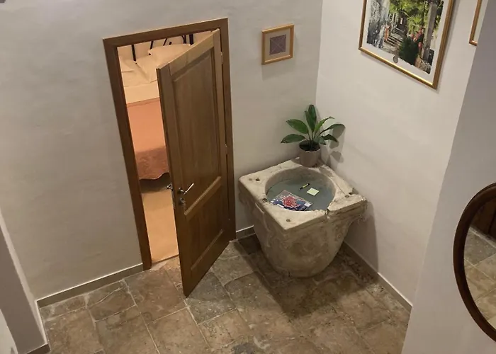 Studio Apartment Vicelic